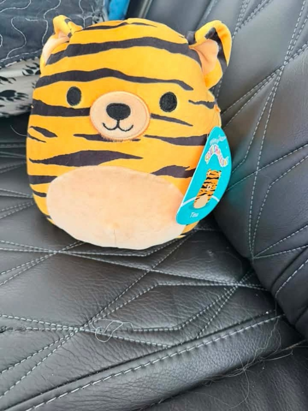 NWT Squishmallow